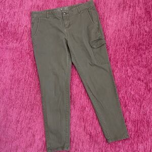 Mountain Hardwear Sojourner Twill Cargo Pants Green Size 12